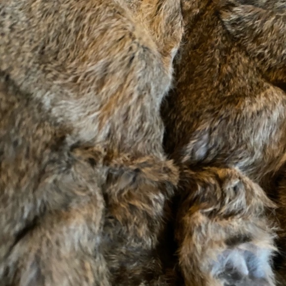 Damaged Rabbit Jacket - Picture 2 of 6